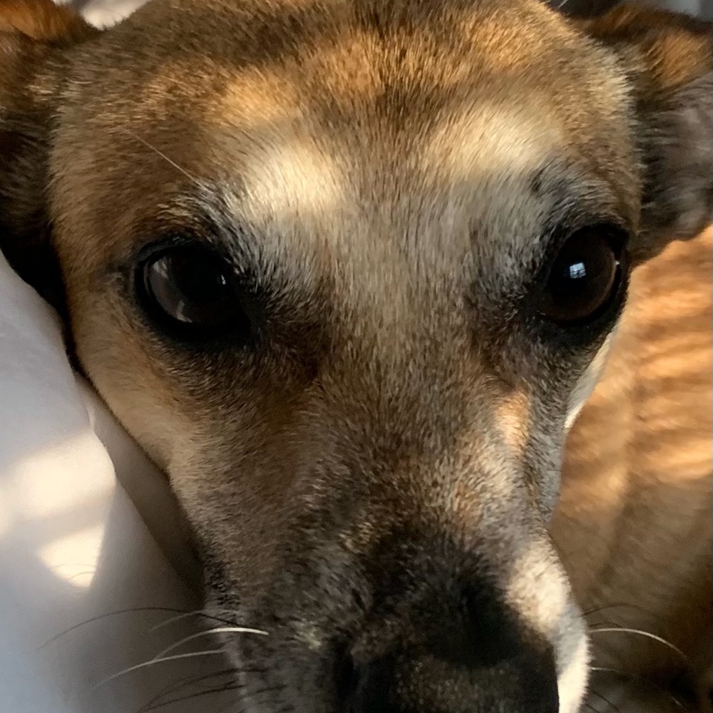 Meet your Posher, Kimberly